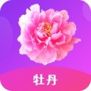 月光视频在线观看片www免费版