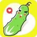 绿巨人下载app安装
