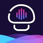 晚上睡不着来B站一次看过瘾免费版