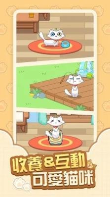 猫咪时刻(Cat Time)2
